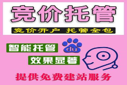 百度广告推广案例：品牌增长之道